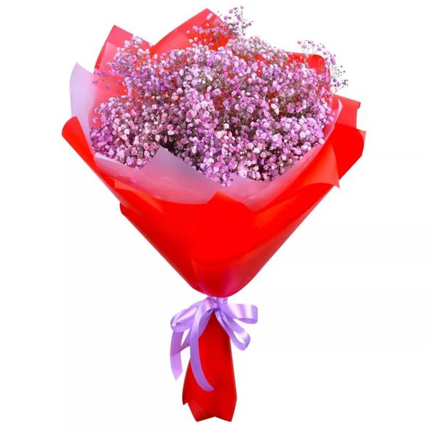 Bouquet of gypsophila "Blush"