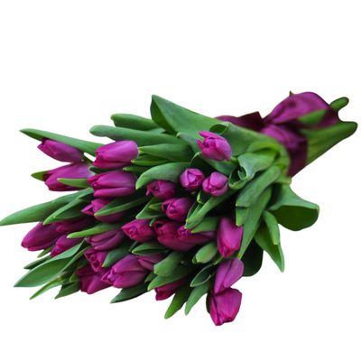 Bouquet of tulips "Florence"