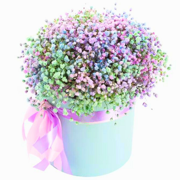 Box with gypsophila "Joy"