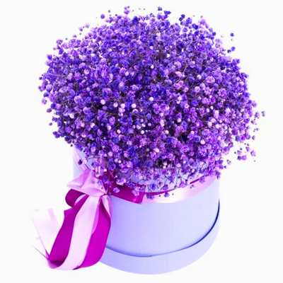 Коробка с гипсофилой "Фиолет"