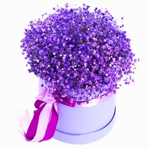 Box with gypsophila "Violet"