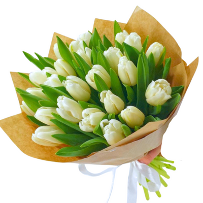 Bouquet of tulips "Dove"