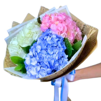 Bouquet of hydrangeas "Raisin"