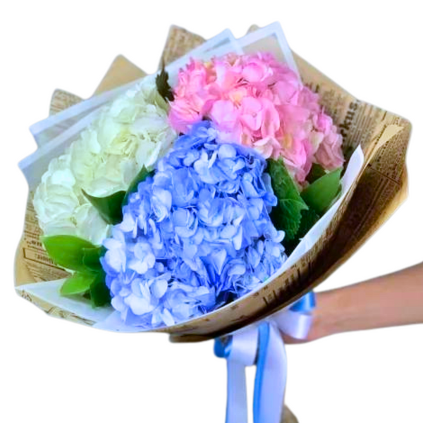 Bouquet of hydrangeas "Raisin"