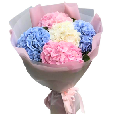 Bouquet of hydrangeas "Luxurious"
