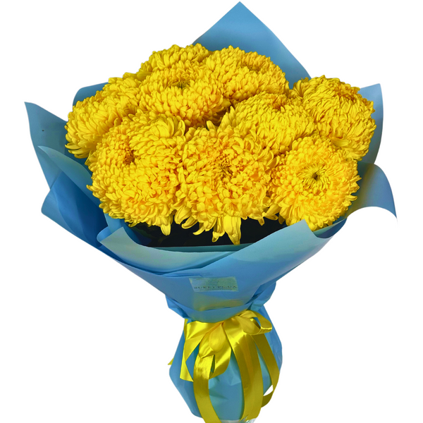 9 large yellow chrysanthemums
