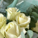 35 белых роз с эвкалиптом