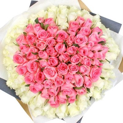 101 pink roses in combination with white