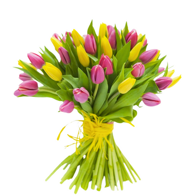 Bouquet of tulips "Bright day"