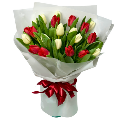 21 white and red tulips