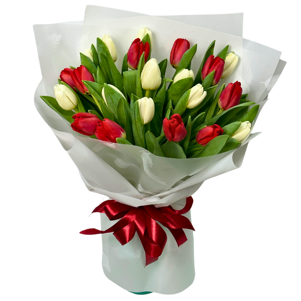 21 white and red tulips