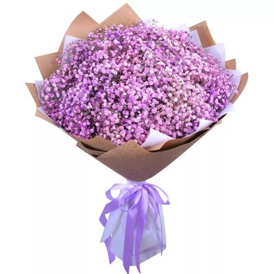 Bouquet of gypsophila "Purple"